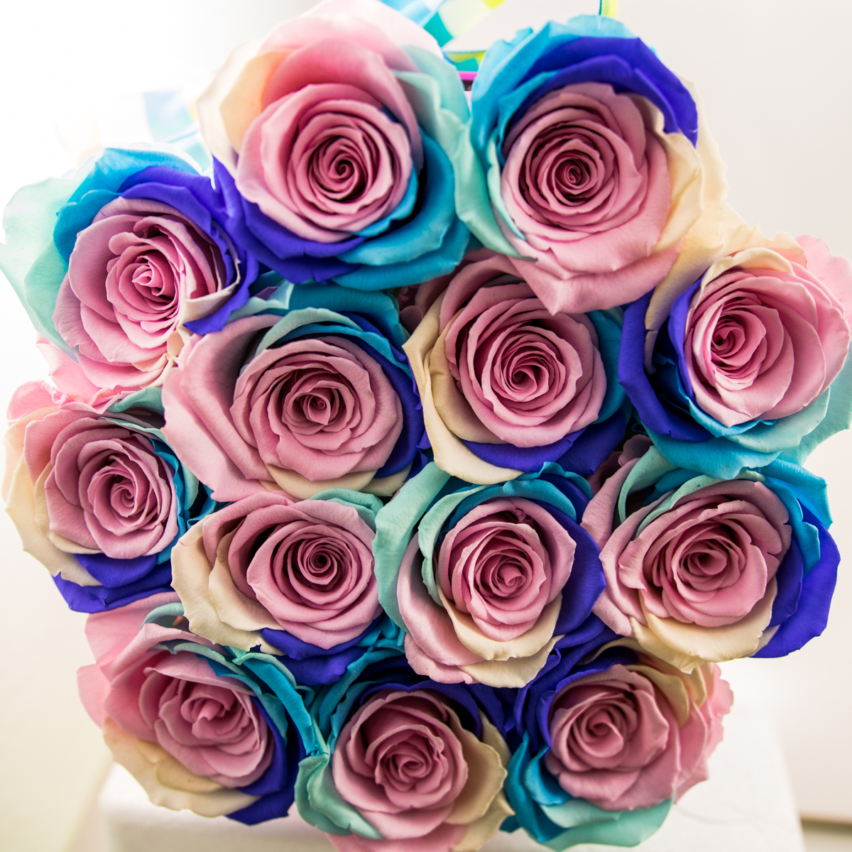 Rainbow Ecuadorian Eternity Flowers Preserved Roses Pack of 6 6cm to 7cm