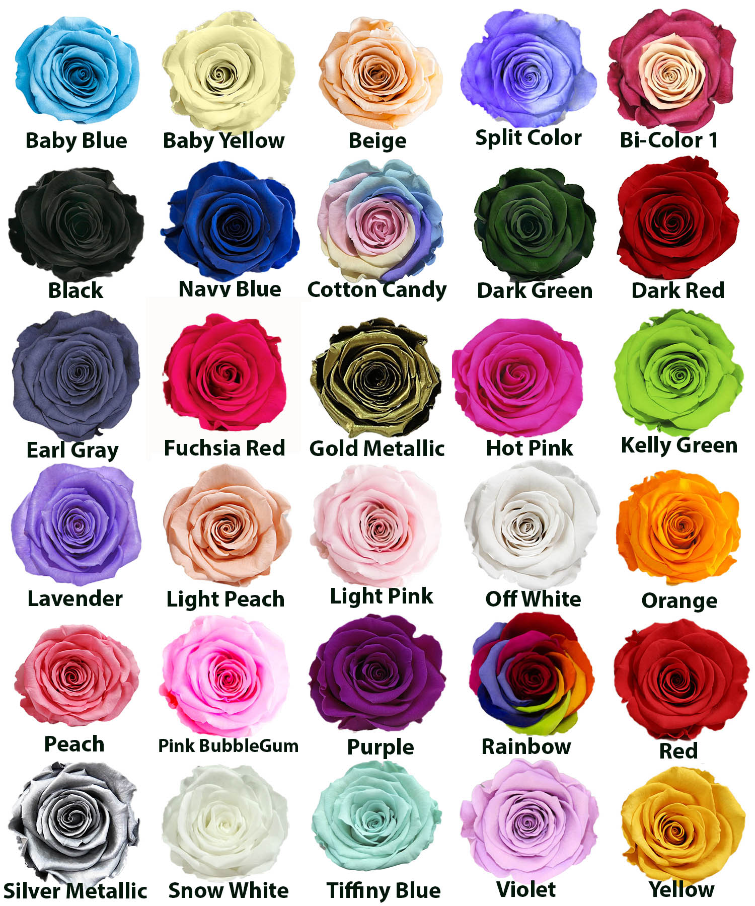 Rose Types And Colors