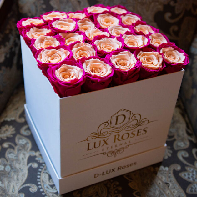 Bi-Color Roses of Preserved Roses that last One year from Dlux Roses Florist Located in Dallas Texas. Customizable Rose Colors ready for same day delivery. Maintenance free Eternity Roses, no watering needed.