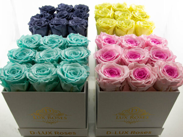 Small Cube Preserved Roses (Customizable) - Image 3
