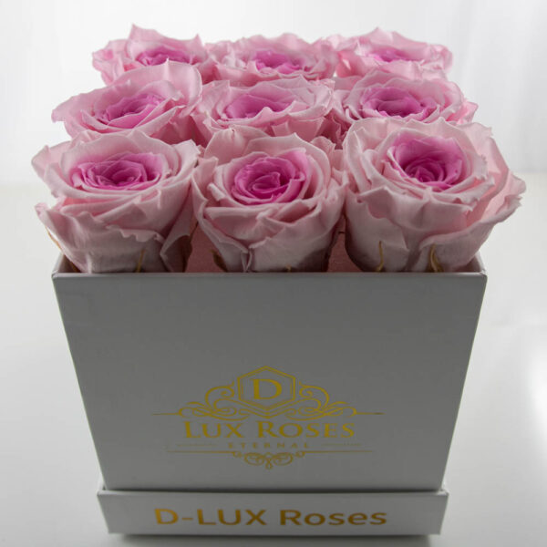 Small Cube Preserved Roses (Customizable) - Image 4