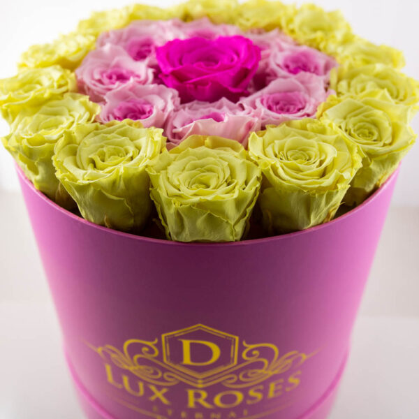 Large Round Preserved Roses (Customizable) - Image 9